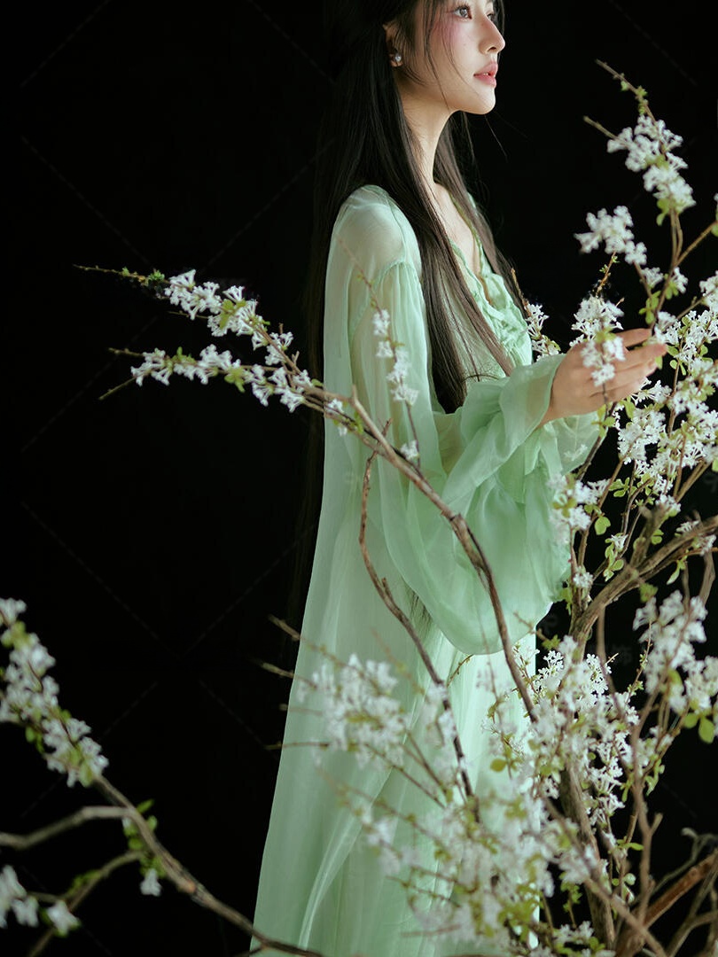 Chinese Style Green Dress Trad - đánh giá và giá Ethnic Fashion Studio