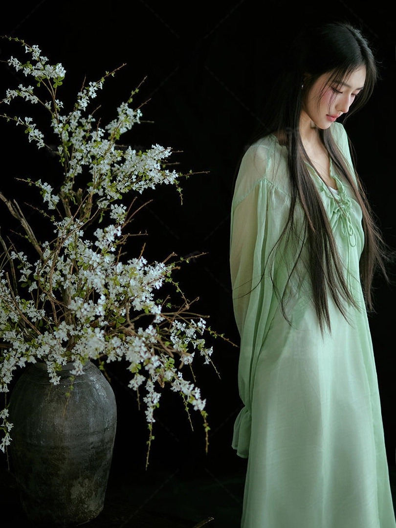 Chinese Style Green Dress Trad - đánh giá và giá Ethnic Fashion Studio