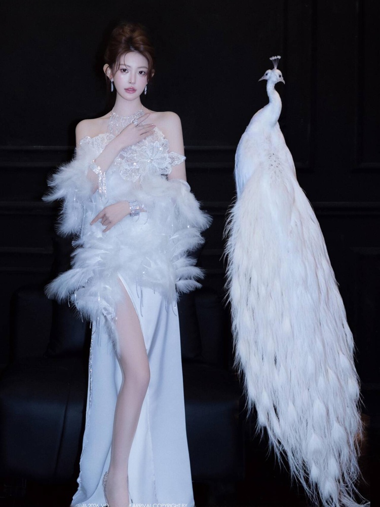 Fashionable See-through Clothi - đánh giá và giá Ethnic Fashion Studio